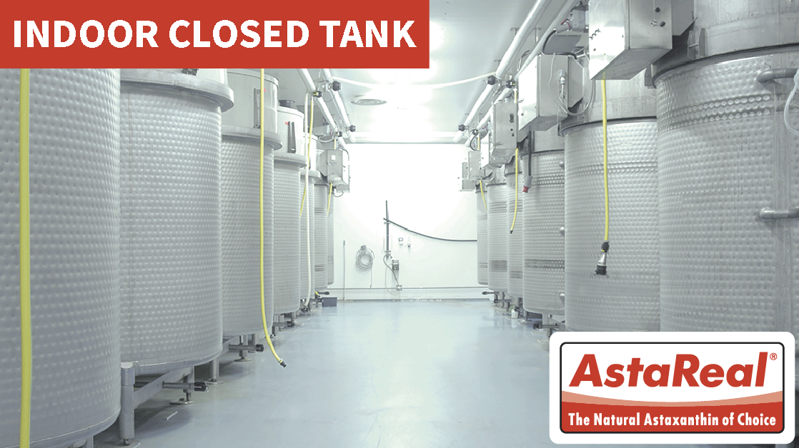 Astaxanthin - AstaReal ™ Indoor Tank System